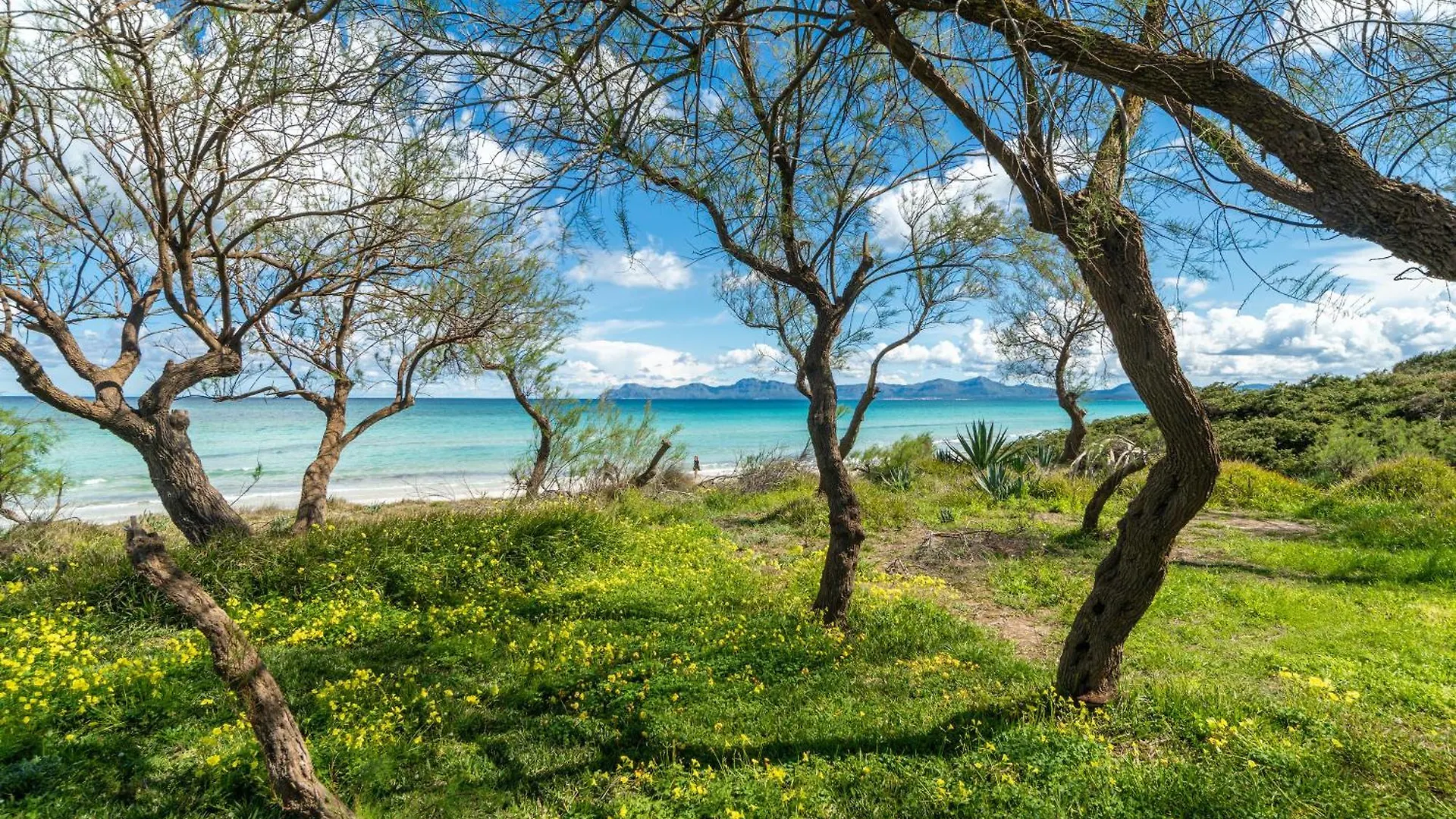 Villa Can Canta Natura Park House At Platja De Muro Beach 0*, بلايا ذي مورو إسبانيا