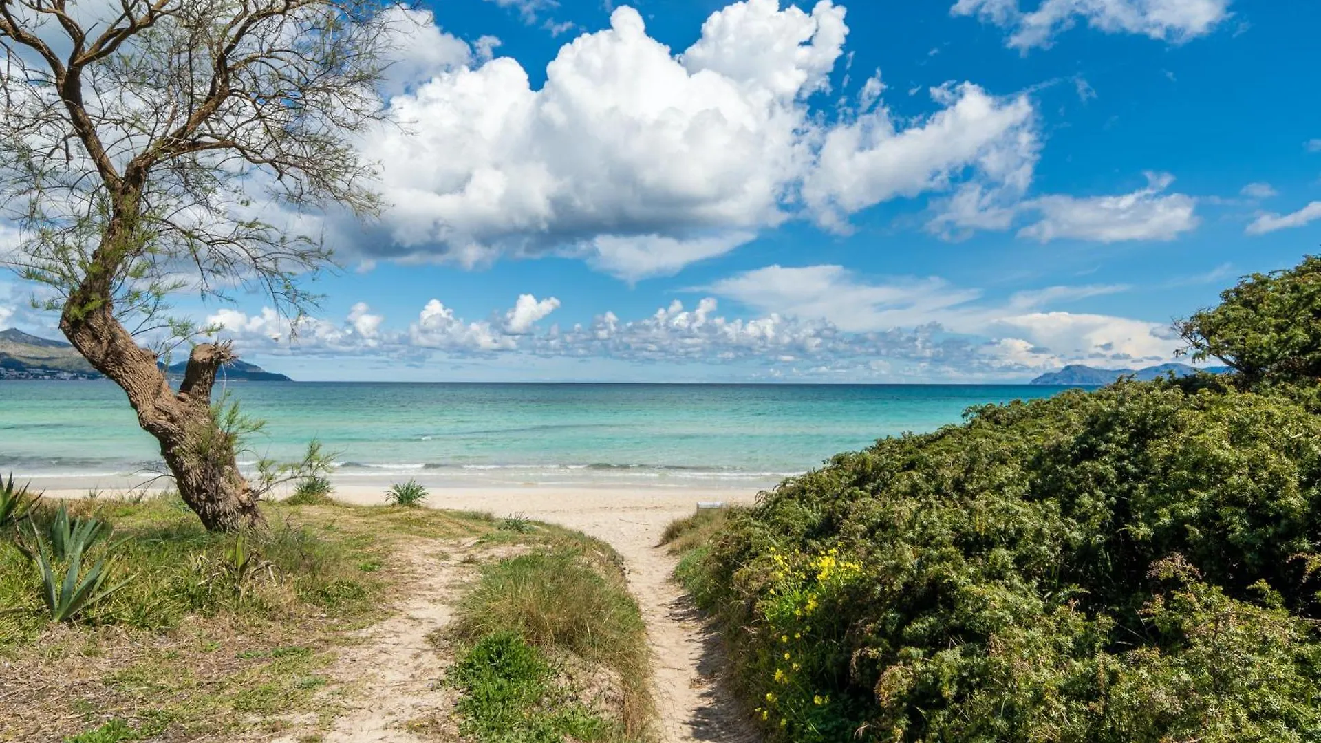 Villa Can Canta Natura Park House At Platja De Muro Beach  بلايا ذي مورو